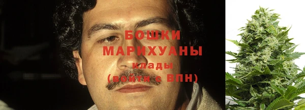 Альфа ПВП Лагань
