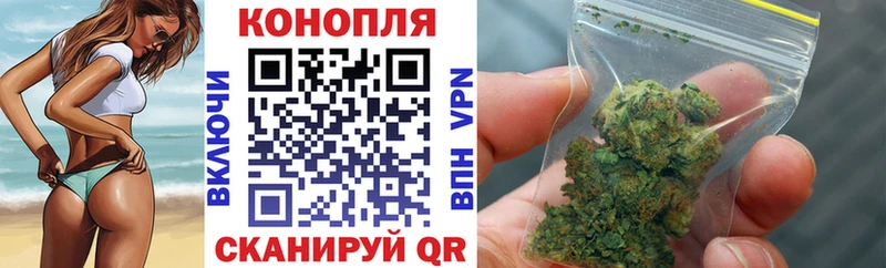 закладки  Куртамыш  Марихуана сатива 